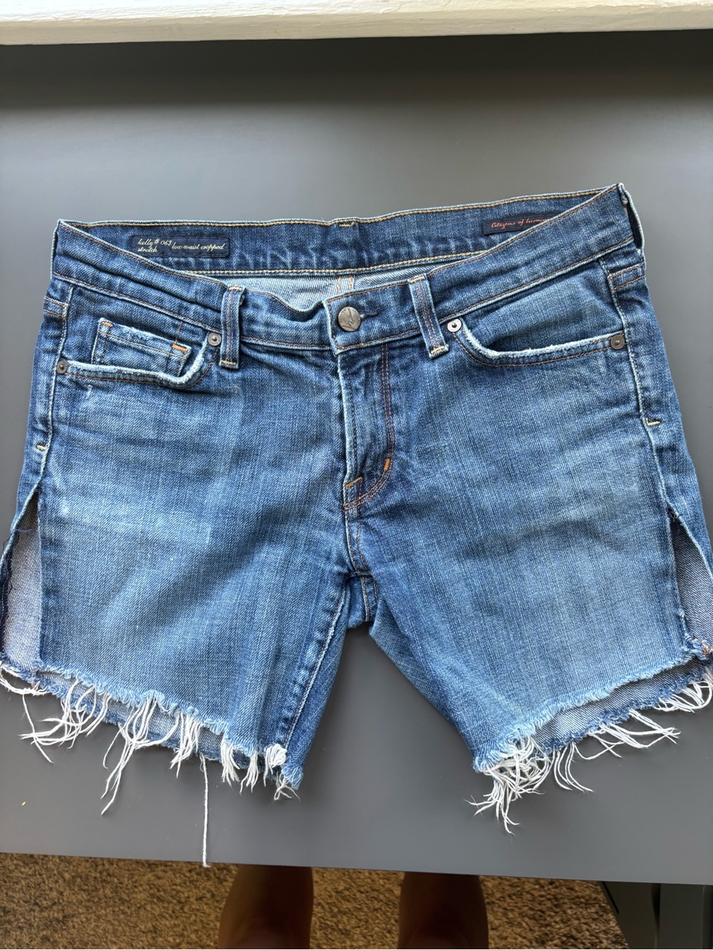 Citizens of Humanity Low Rise Shorts- 29